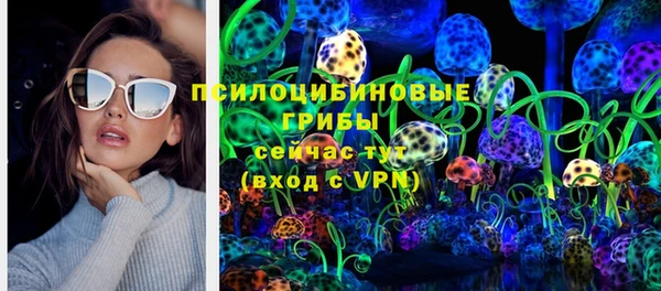 дурь Мегион