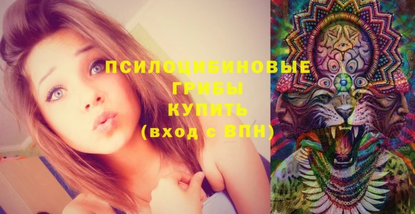 дурь Мегион