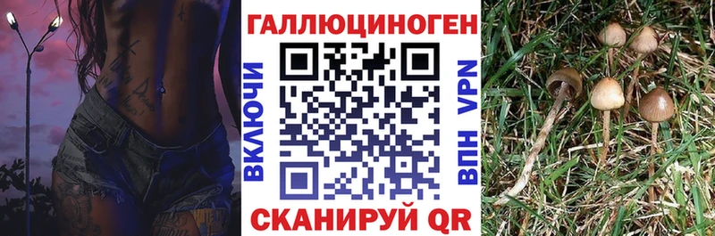 Купить где  Шелехов  Галлюциногенные грибы ЛСД 