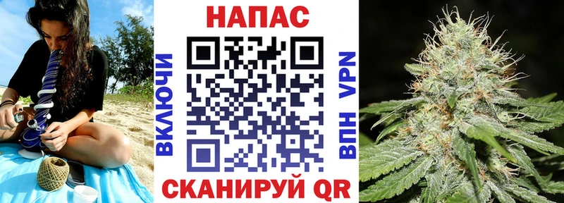 Купить  Шелехов  Бошки Шишки план 